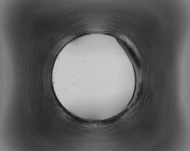 X0000083000385200703020908