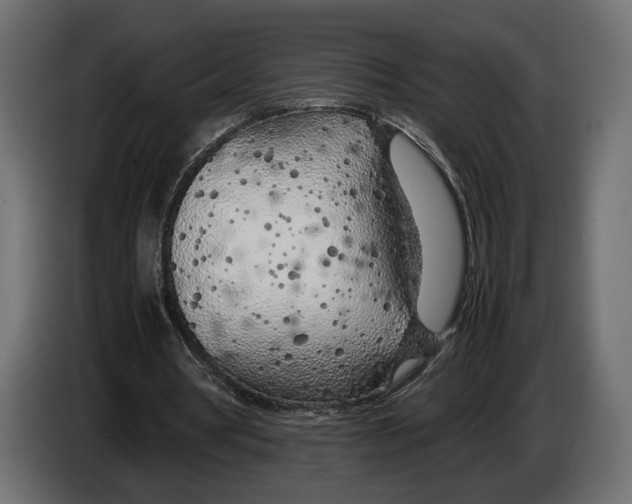 X0000083000386200703020908