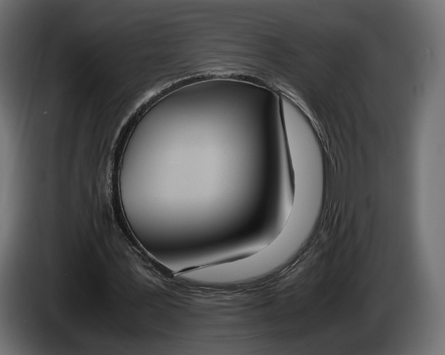 X0000083000387200703020908