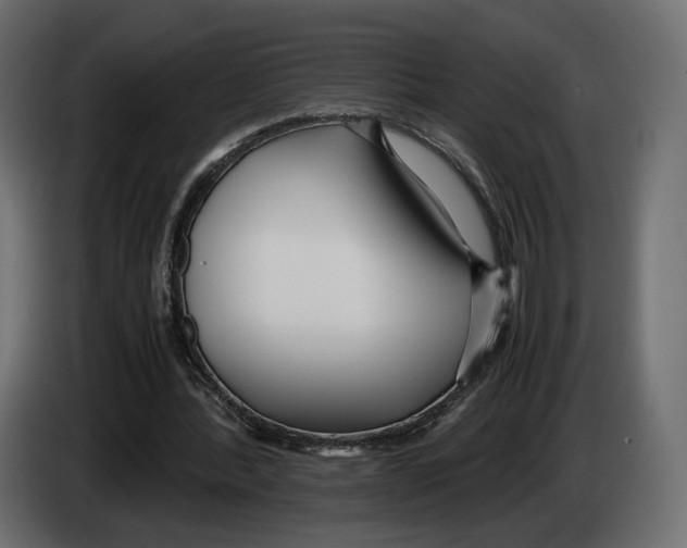 X0000083000388200703020908