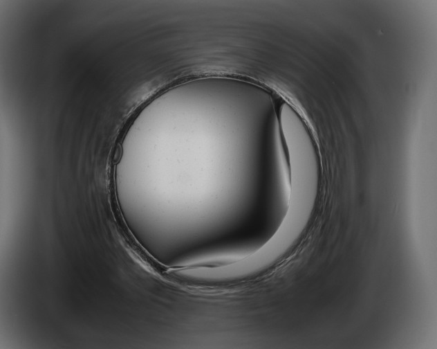 X0000083000389200703020908