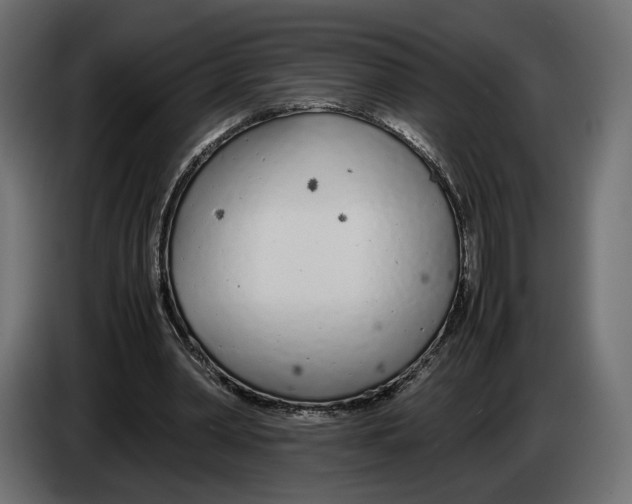 X0000083000390200703020908