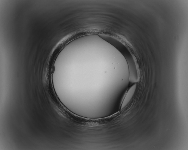 X0000083000392200703020908