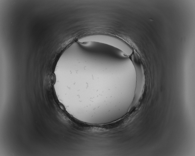 X0000083000393200703020908