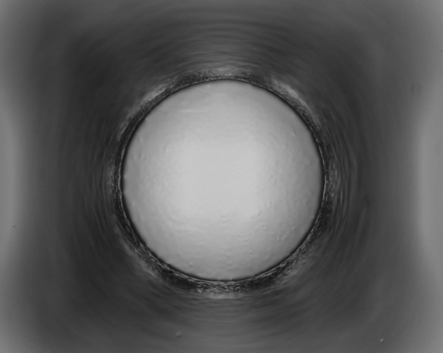 X0000083000394200703020908