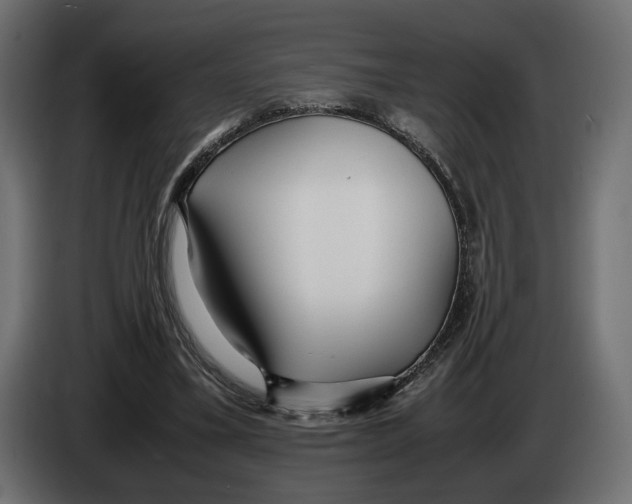 X0000083000395200703020908