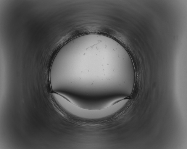 X0000083000397200703020908