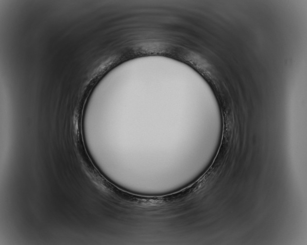 X0000083000398200703020908