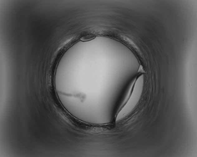 X0000083000399200703020908