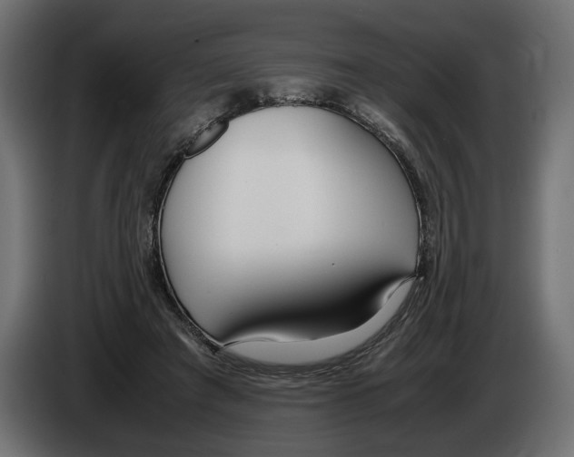 X0000083000401200703020908