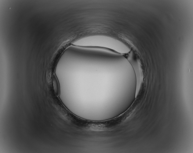 X0000083000403200703020908