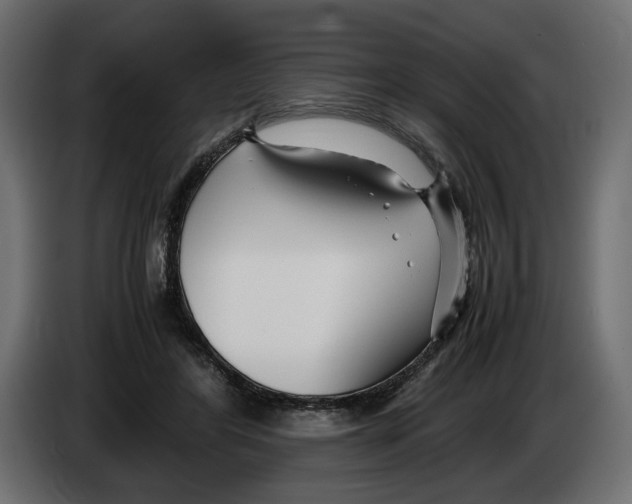 X0000083000404200703020908