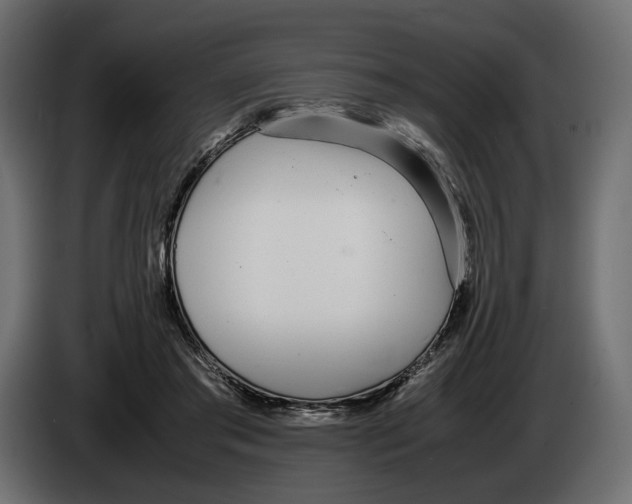 X0000083000405200703020908