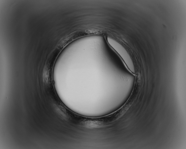 X0000083000408200703020908