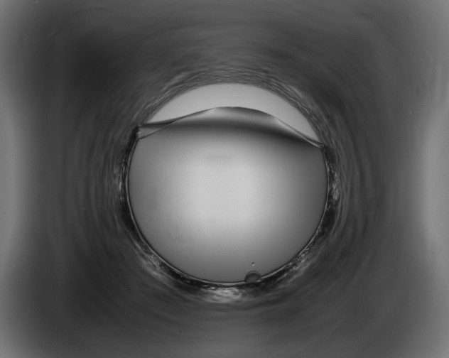 X0000083000409200703020908