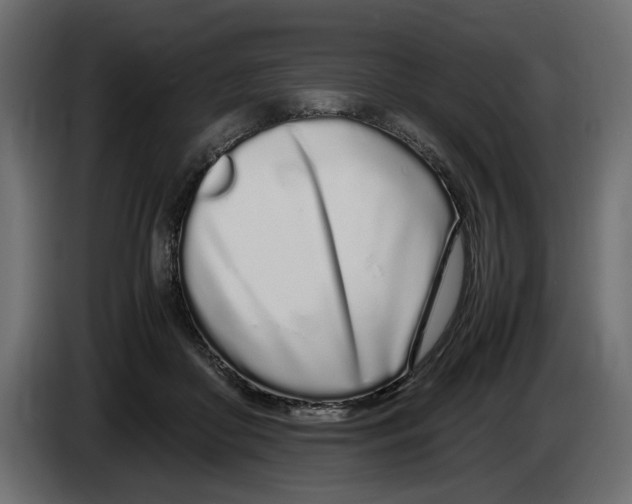 X0000083000410200703020908