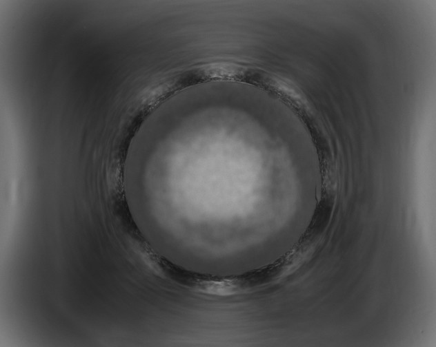 X0000083000411200703020908