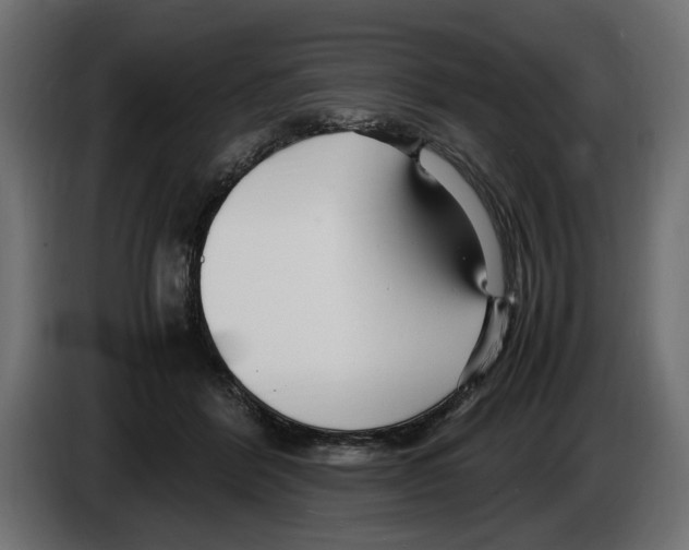 X0000083000412200703020908