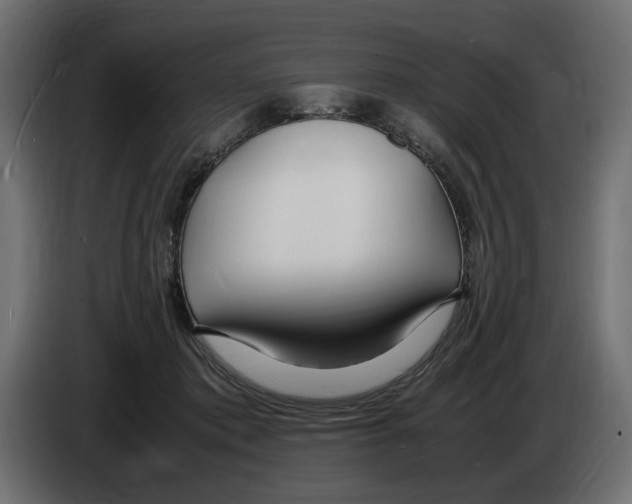 X0000083000413200703020908