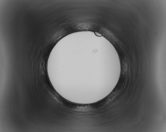 X0000083000414200703020908