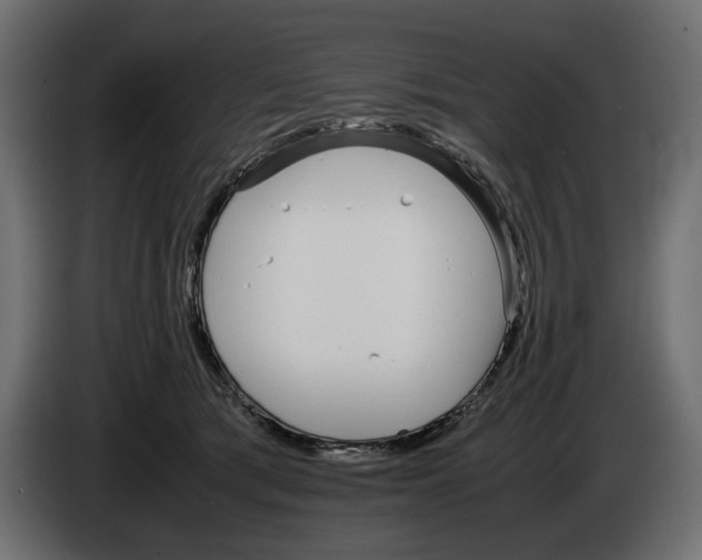 X0000083000417200703020908