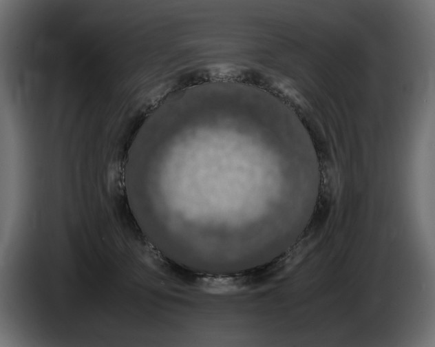 X0000083000419200703020908