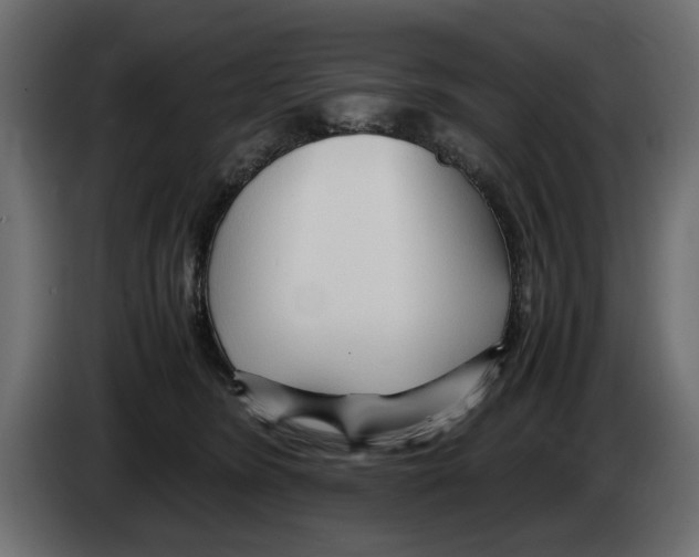 X0000083000420200703020908