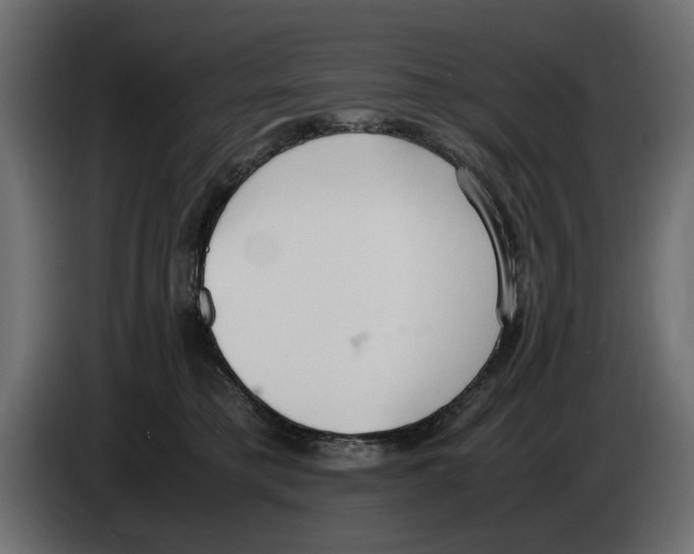 X0000083000421200703020908