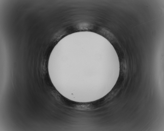 X0000083000422200703020908