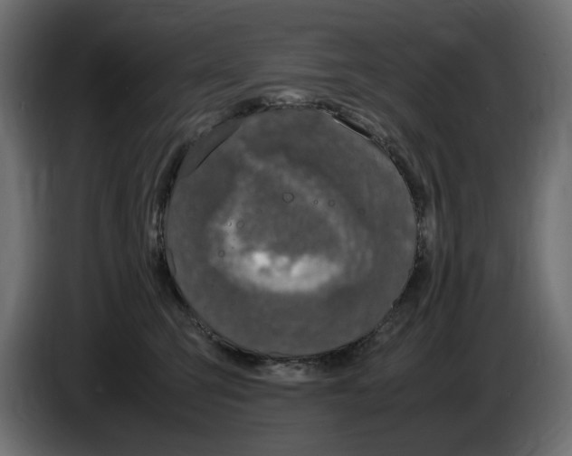 X0000083000423200703020908