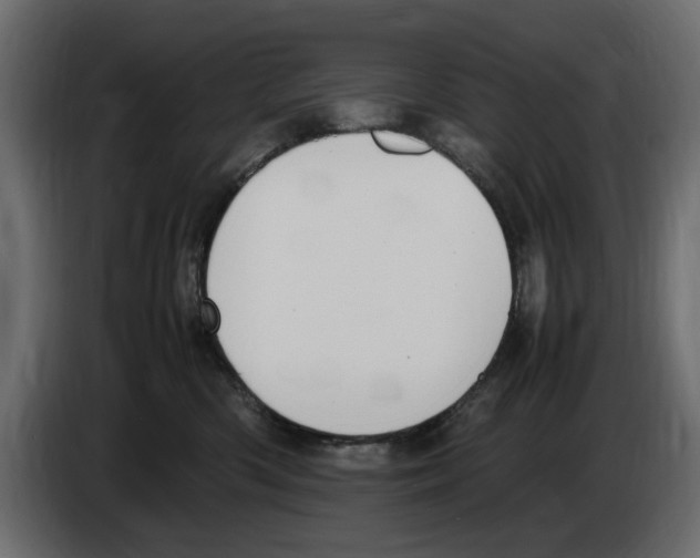 X0000083000426200703020908