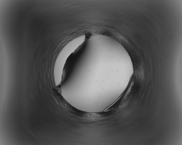 X0000083000429200703020908