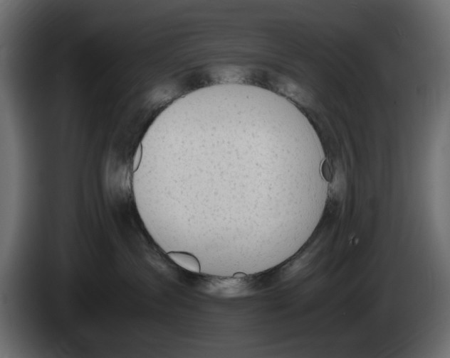 X0000083000431200703020908