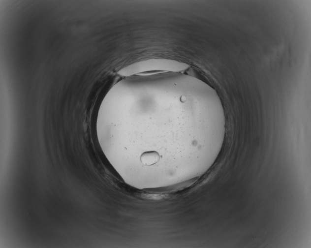 X0000083000432200703020908