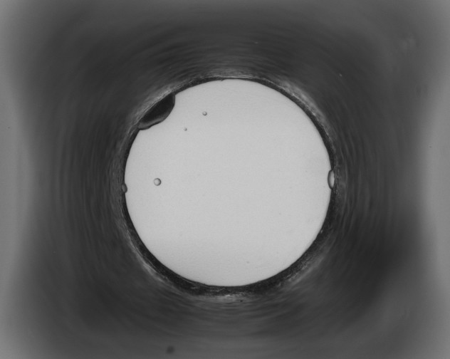 X0000083000433200703020907