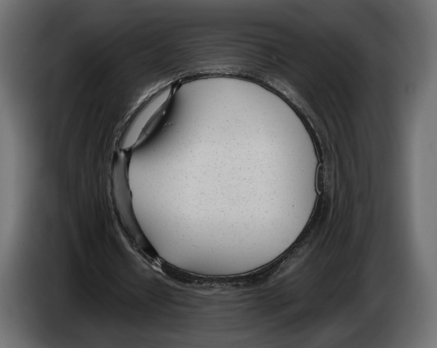 X0000083000434200703020907