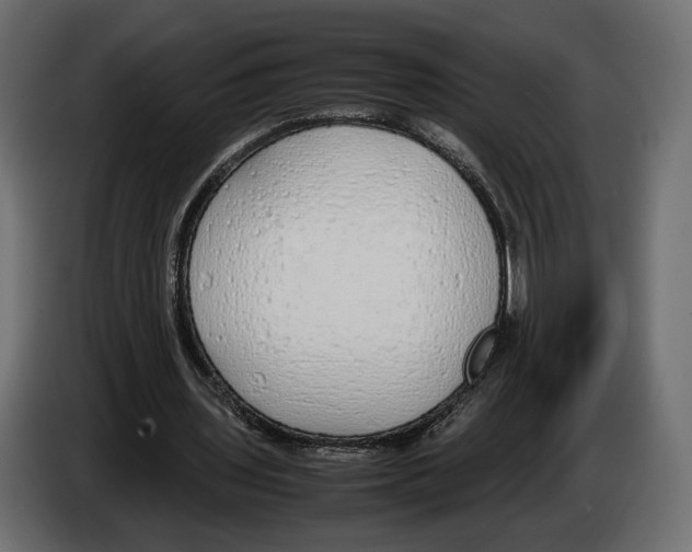 X0000083000435200703020907