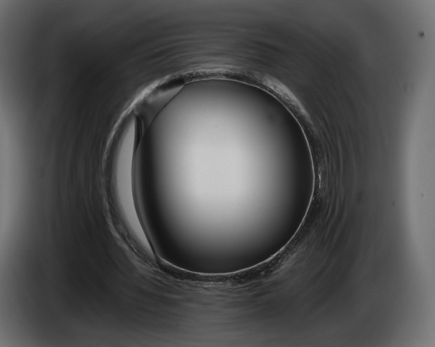 X0000083000436200703020907