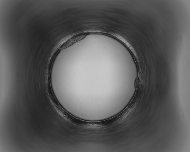 X0000083000437200703020907