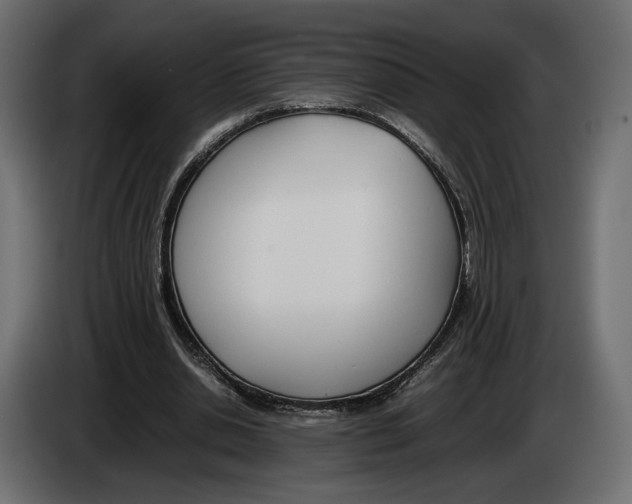 X0000083000438200703020907