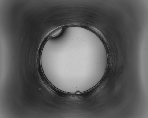 X0000083000439200703020907