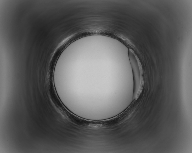 X0000083000440200703020907