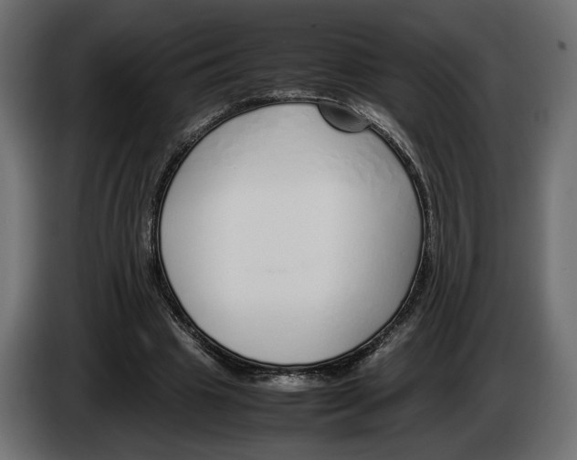 X0000083000441200703020907