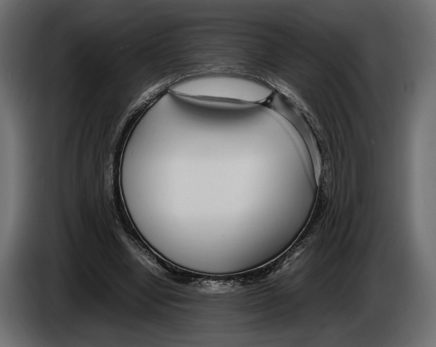 X0000083000442200703020907