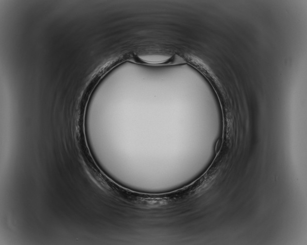 X0000083000443200703020907