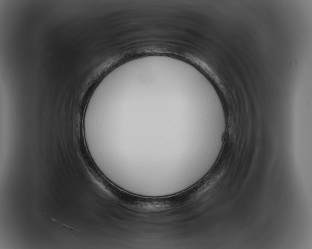 X0000083000445200703020907