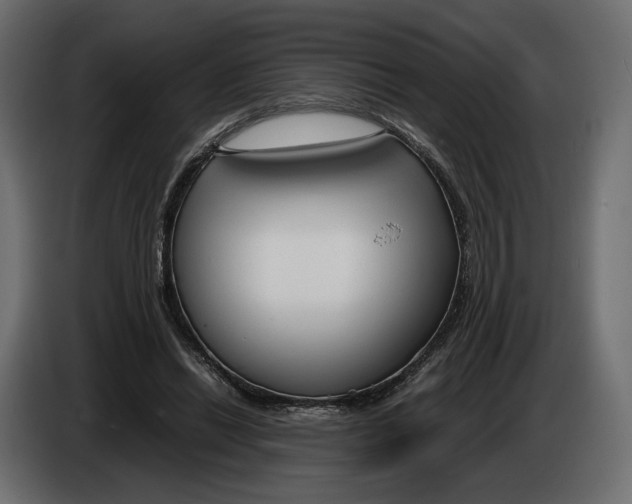 X0000083000446200703020907