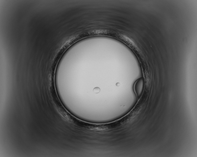 X0000083000447200703020907