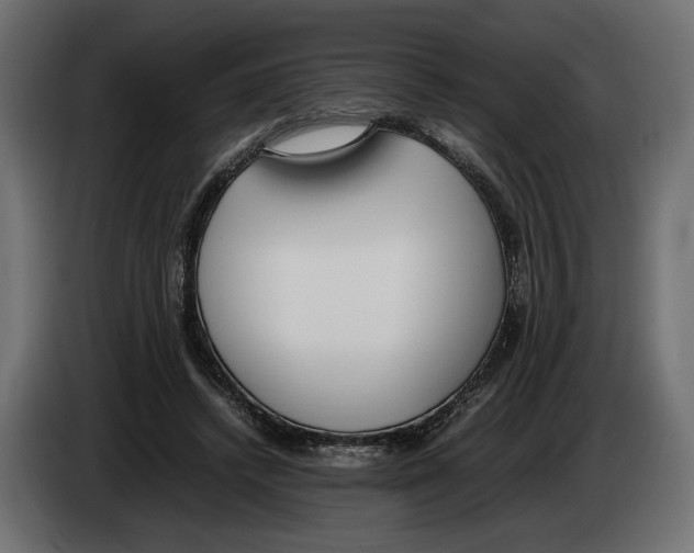 X0000083000448200703020907