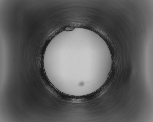 X0000083000450200703020907